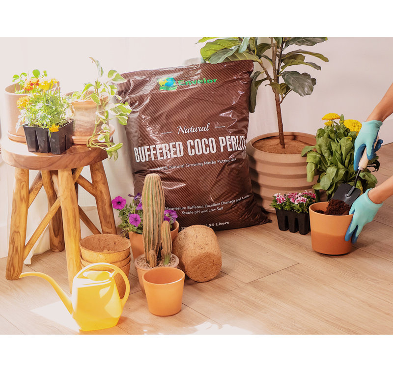Envelor Fluffed Coco Potting Soil & Reviews Wayfair